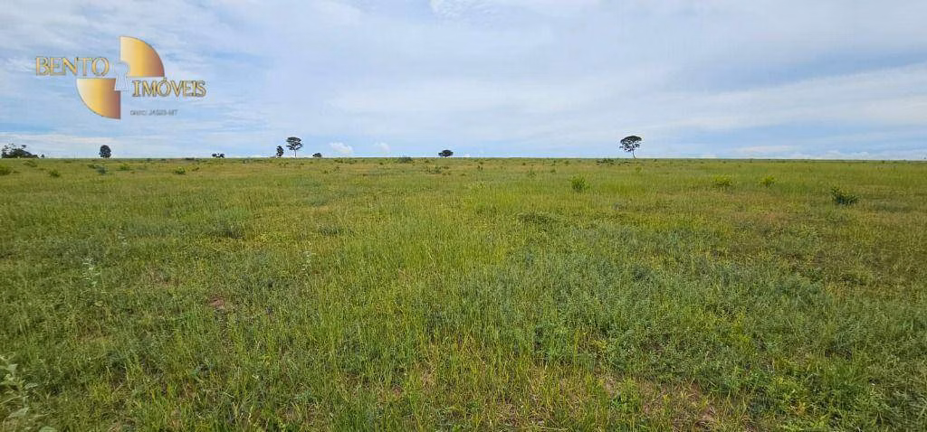 Fazenda de 339 ha em Juscimeira, MT