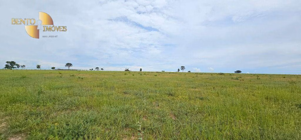 Fazenda de 339 ha em Juscimeira, MT