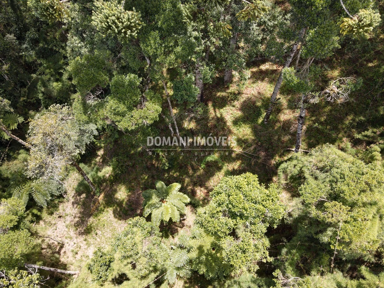 Terreno de 1.110 m² em Campos do Jordão, SP
