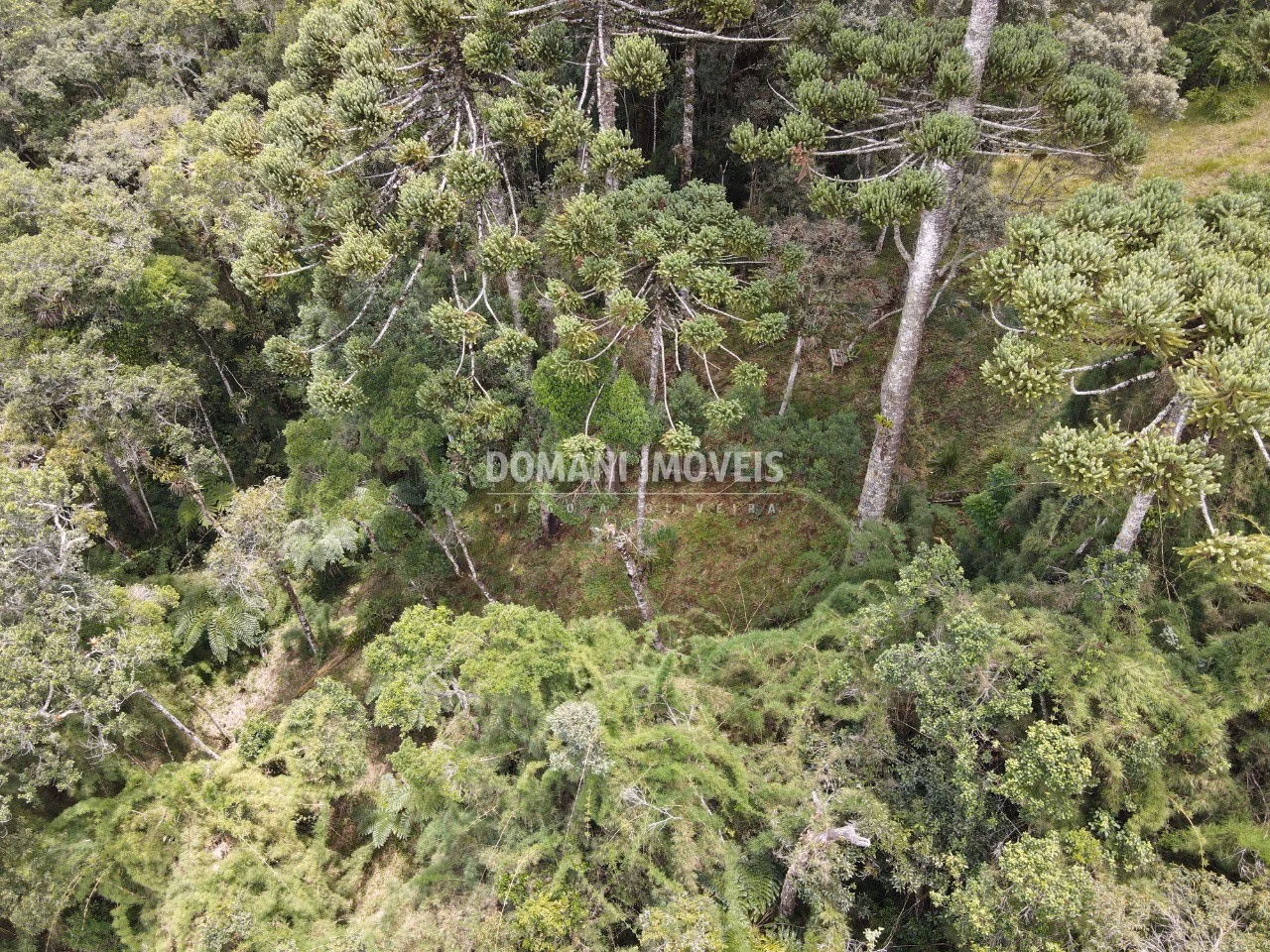 Terreno de 1.110 m² em Campos do Jordão, SP