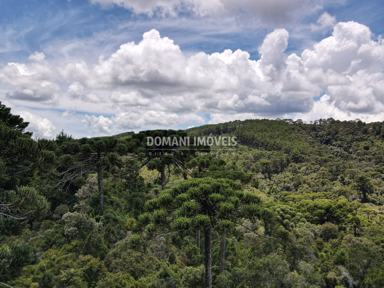 Terreno de 1.110 m² em Campos do Jordão, SP