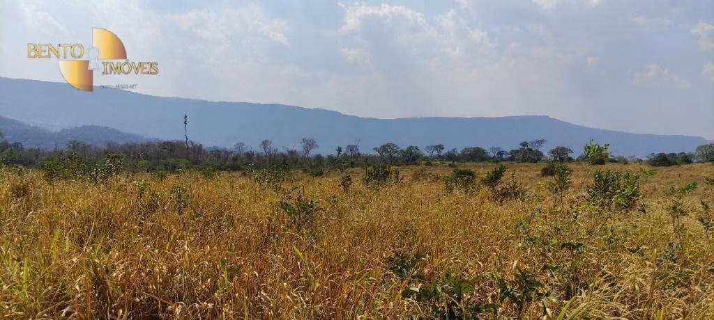 Fazenda de 519 ha em Porto Esperidião, MT
