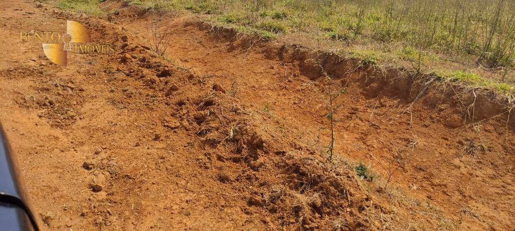 Fazenda de 519 ha em Porto Esperidião, MT