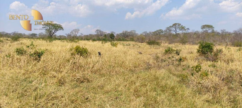 Fazenda de 519 ha em Porto Esperidião, MT