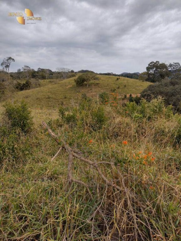 Fazenda de 519 ha em Porto Esperidião, MT