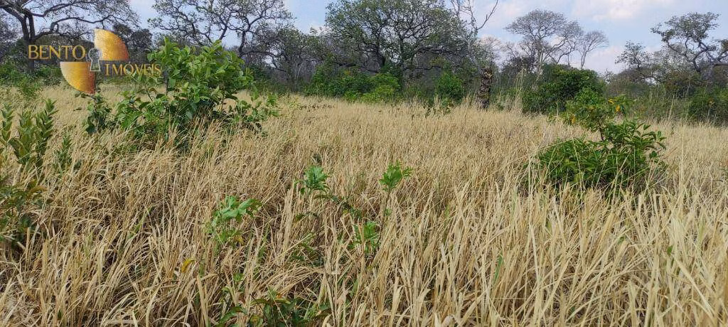 Fazenda de 519 ha em Porto Esperidião, MT