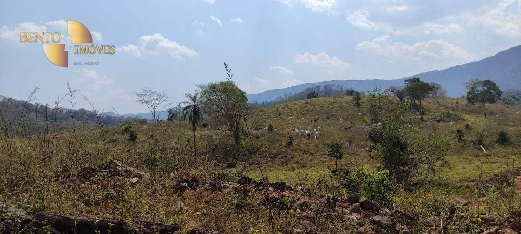 Fazenda de 519 ha em Porto Esperidião, MT