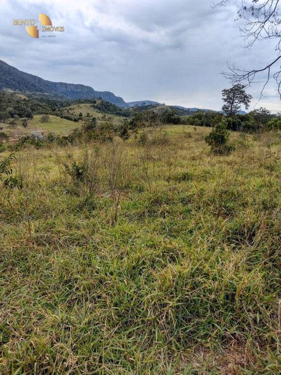 Fazenda de 519 ha em Porto Esperidião, MT