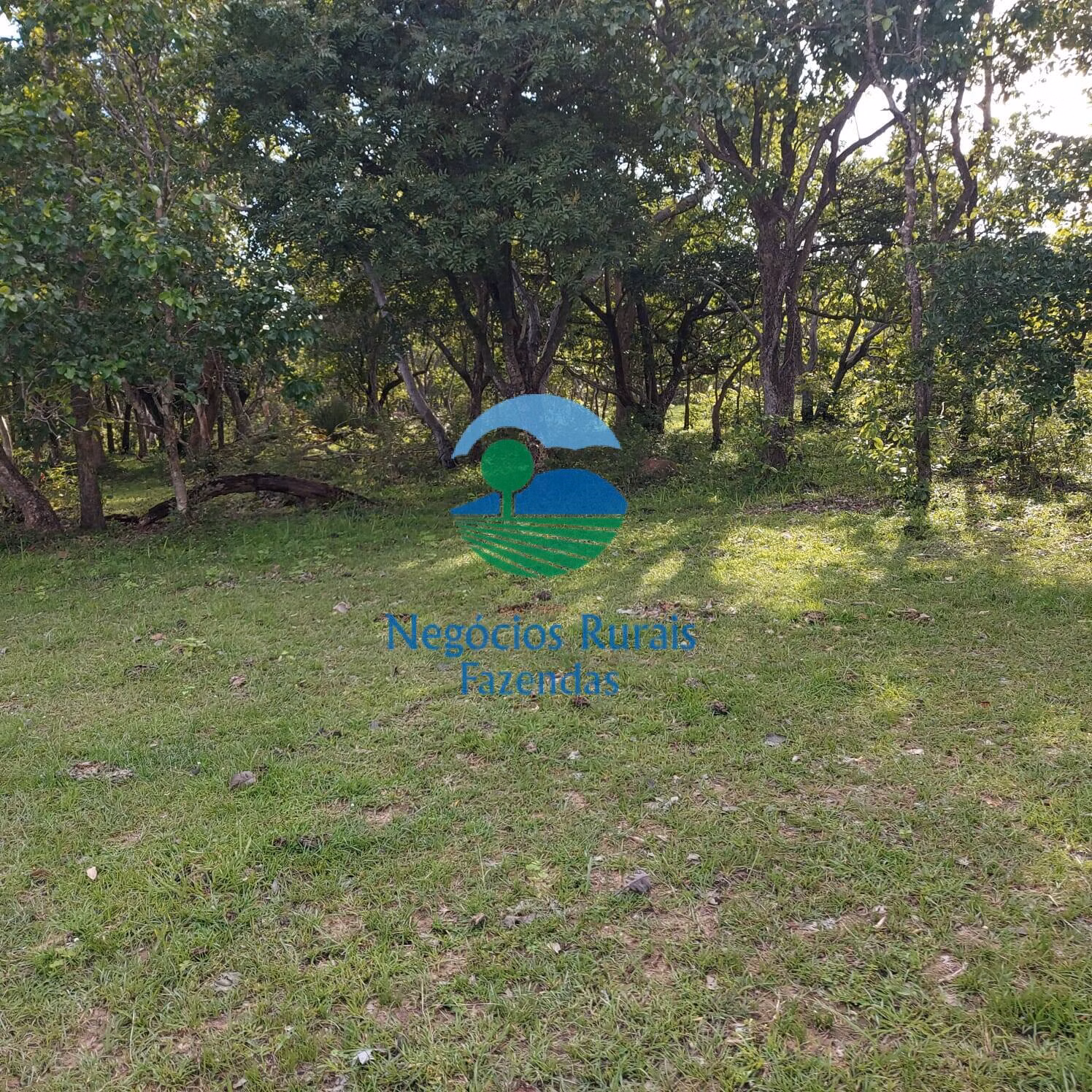 Fazenda de 639 ha em Santa Rosa do Tocantins, TO