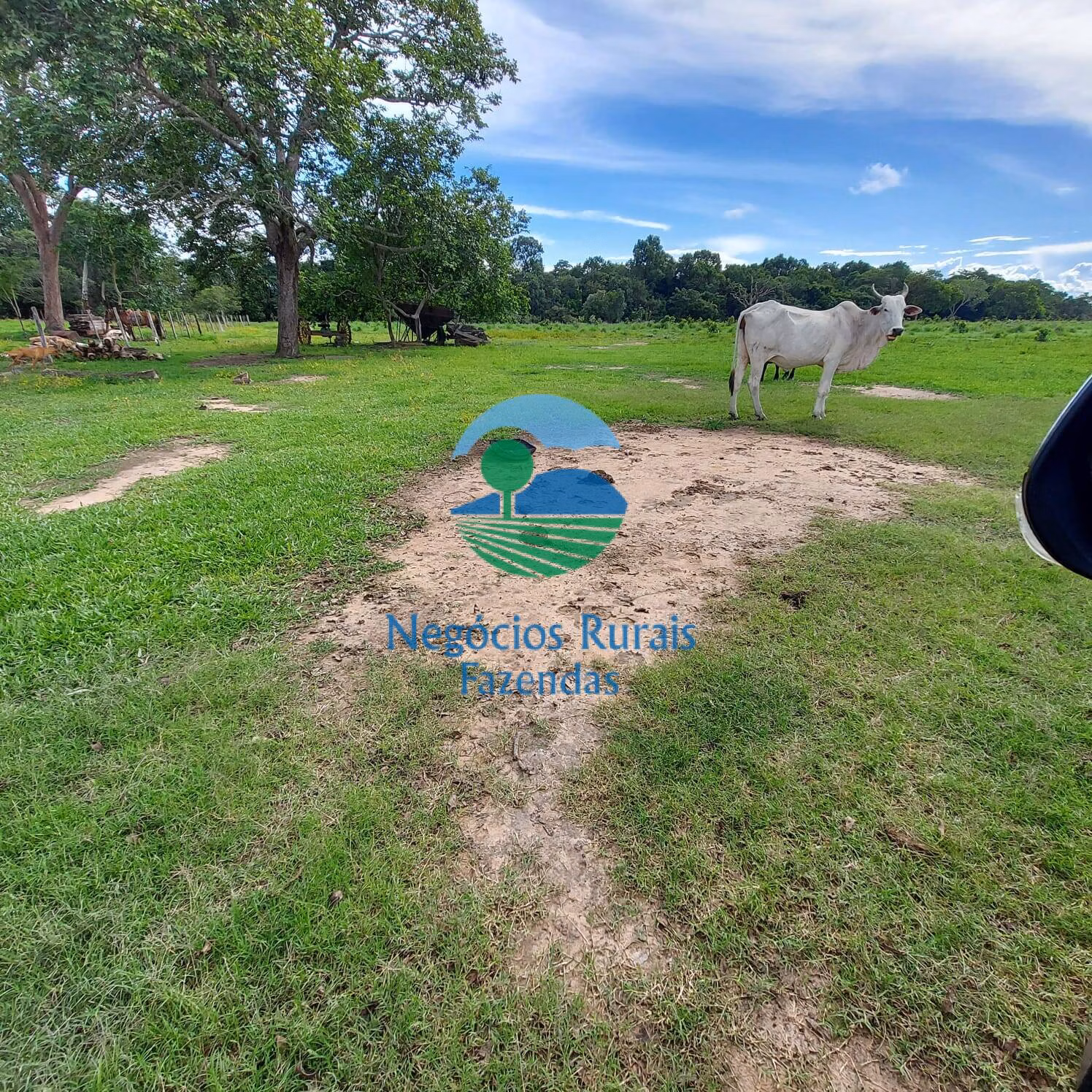 Fazenda de 639 ha em Santa Rosa do Tocantins, TO