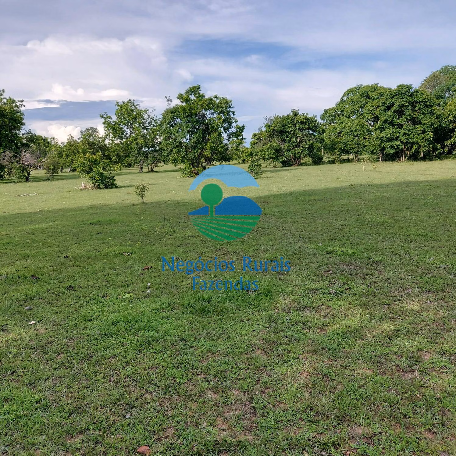Fazenda de 639 ha em Santa Rosa do Tocantins, TO