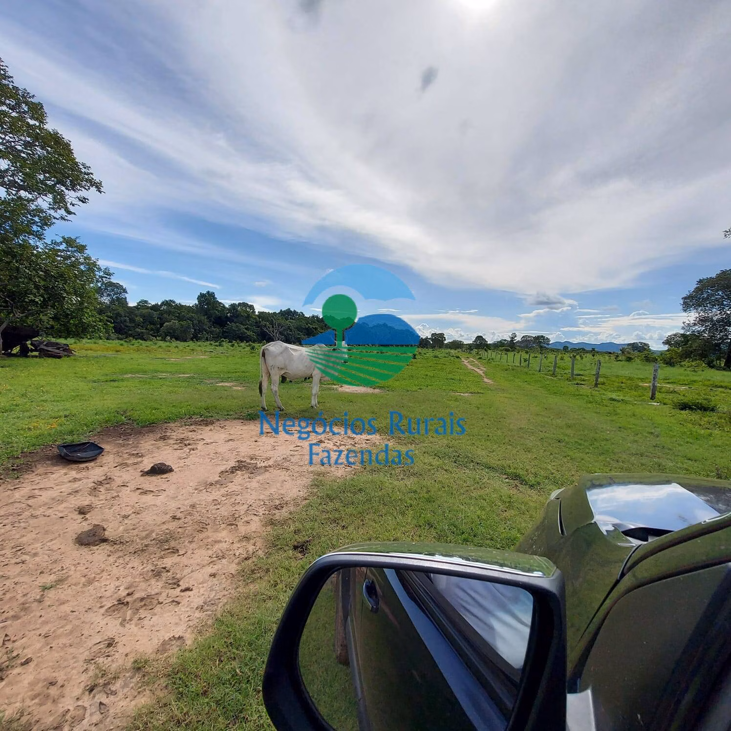 Fazenda de 639 ha em Santa Rosa do Tocantins, TO