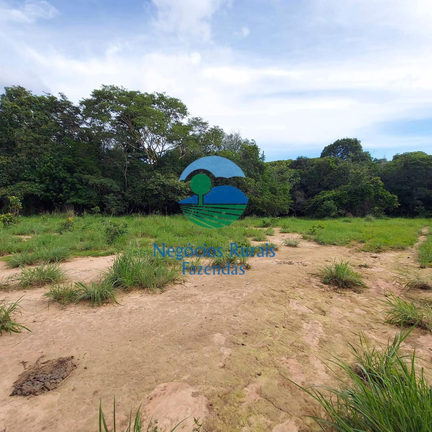Fazenda de 639 ha em Santa Rosa do Tocantins, TO