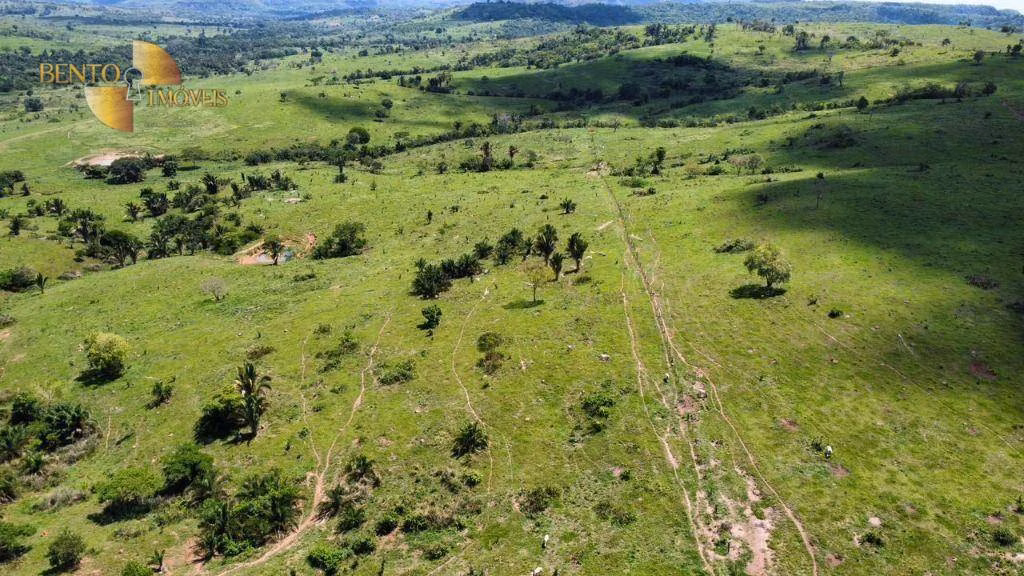 Fazenda de 1.390 ha em Rondonópolis, MT
