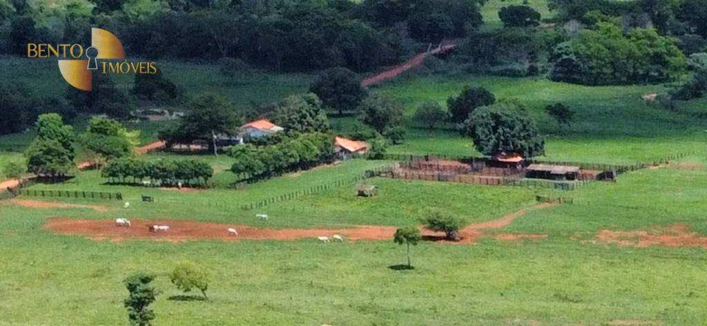 Fazenda de 1.390 ha em Rondonópolis, MT