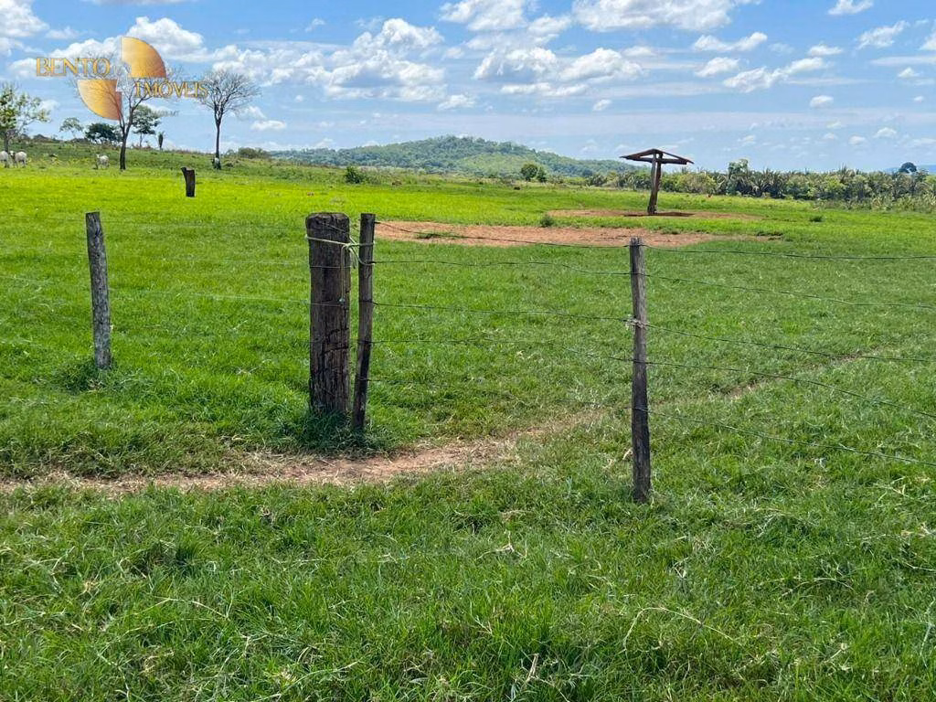 Fazenda de 1.390 ha em Rondonópolis, MT