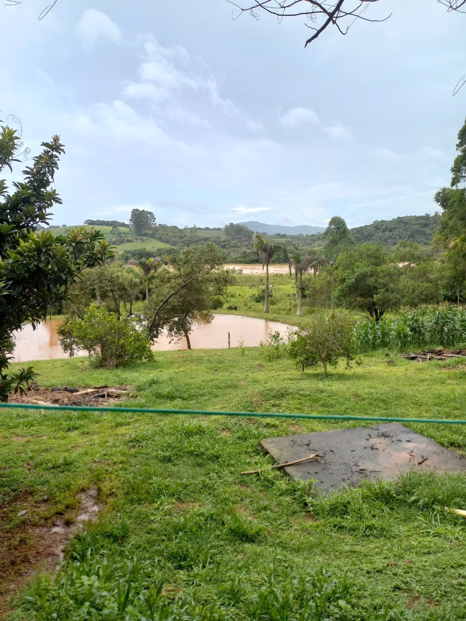 Chácara de 3 ha em Alterosa, MG