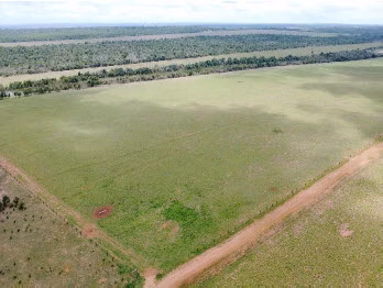 Fazenda de 1.500 ha em Paranatinga, MT
