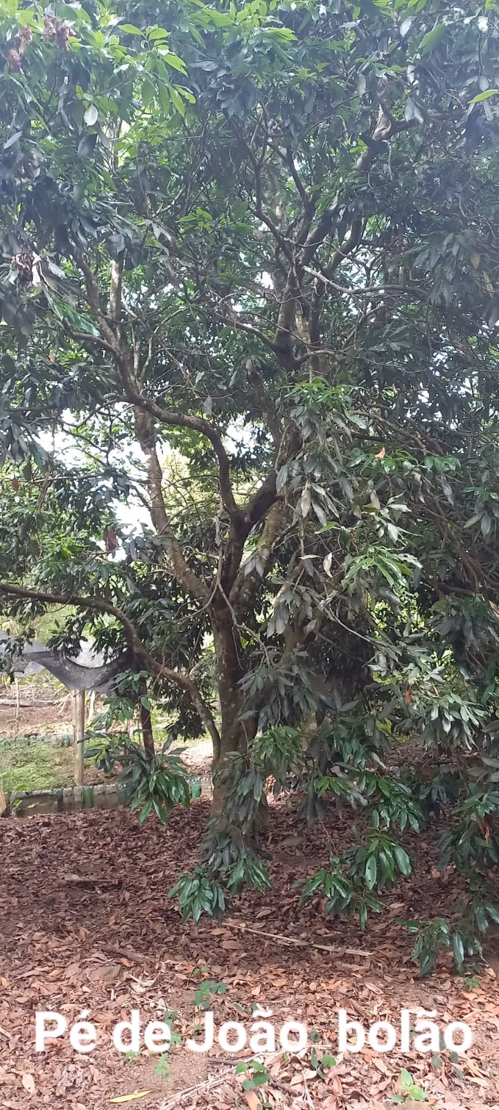 Chácara de 5.080 m² em São Carlos, SP