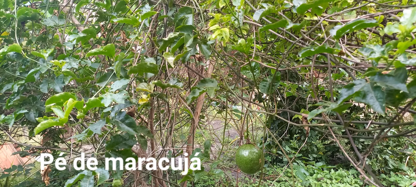 Chácara de 5.080 m² em São Carlos, SP