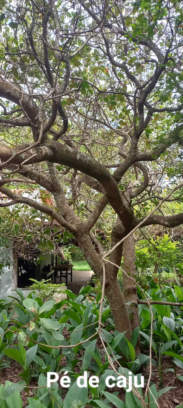 Country home of 1 acres in São Carlos, SP, Brazil