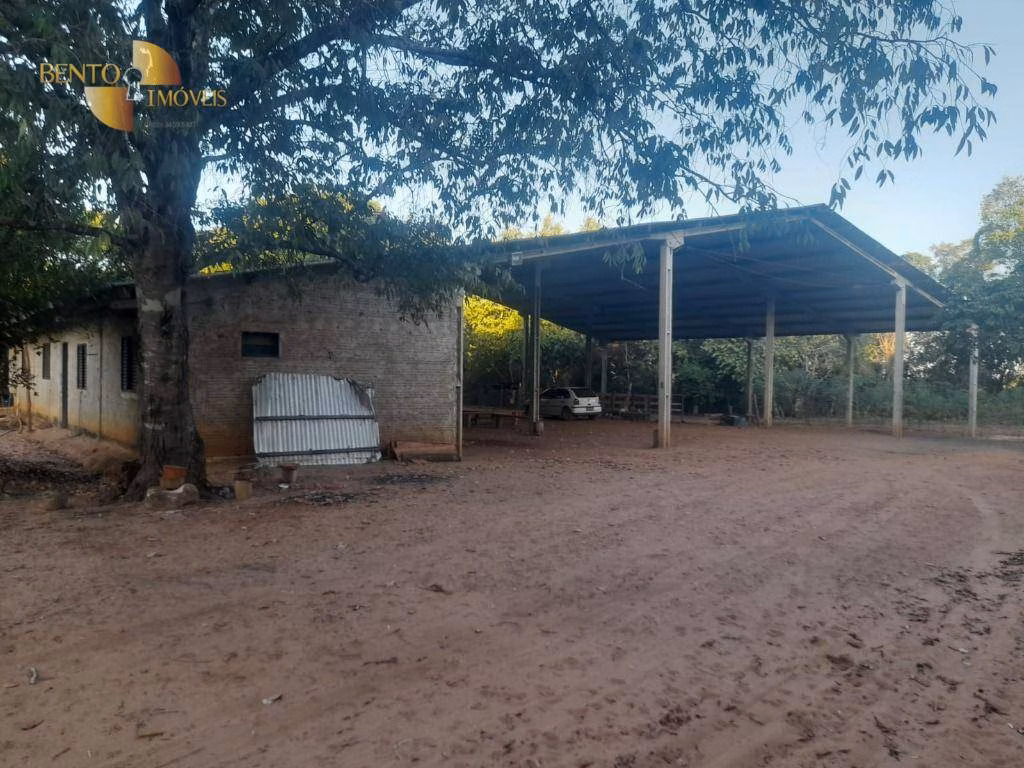 Fazenda de 556 ha em Nova Mutum, MT
