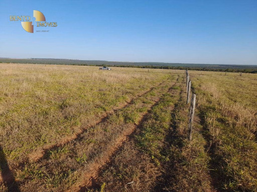 Fazenda de 556 ha em Nova Mutum, MT