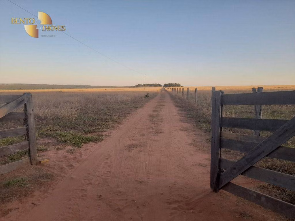 Fazenda de 556 ha em Nova Mutum, MT