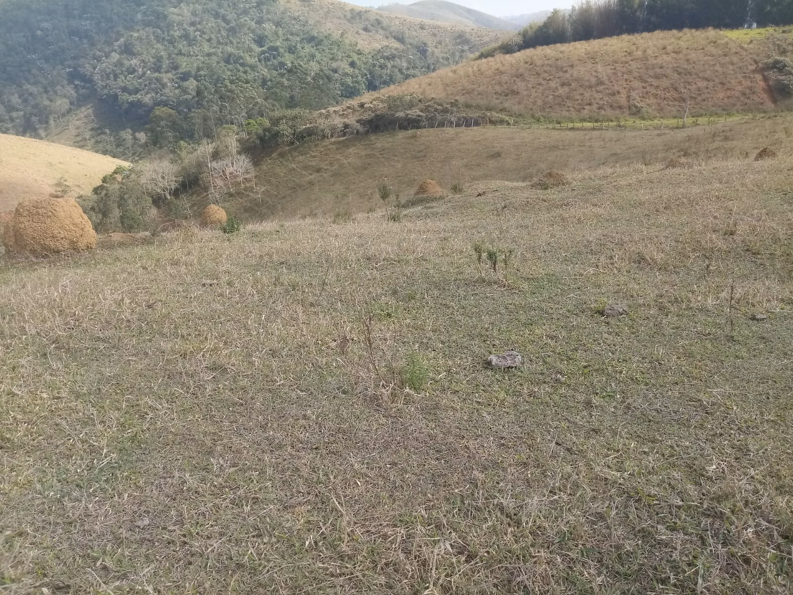 Small farm of 57 acres in São José dos Campos, SP, Brazil