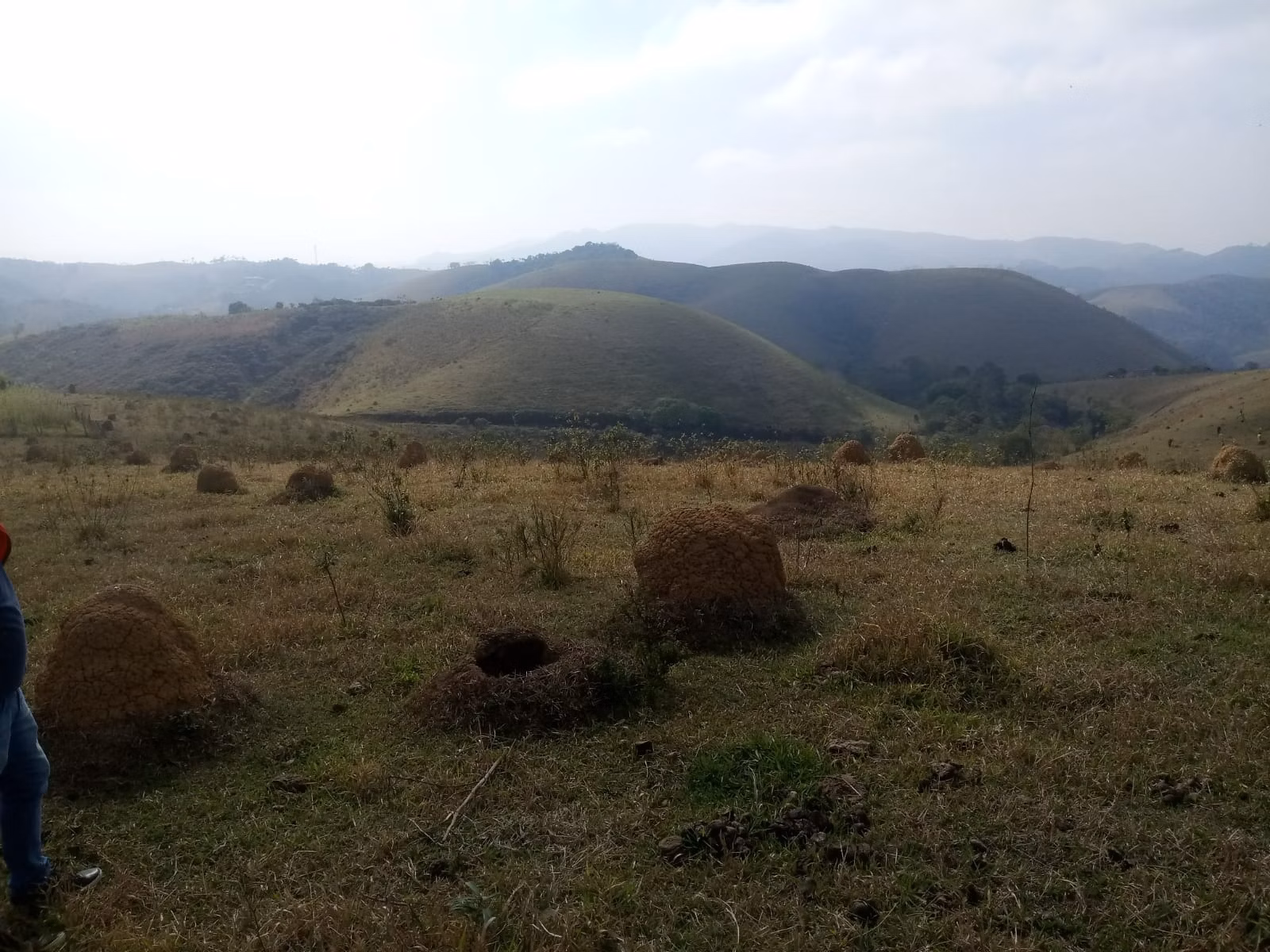 Small farm of 57 acres in São José dos Campos, SP, Brazil