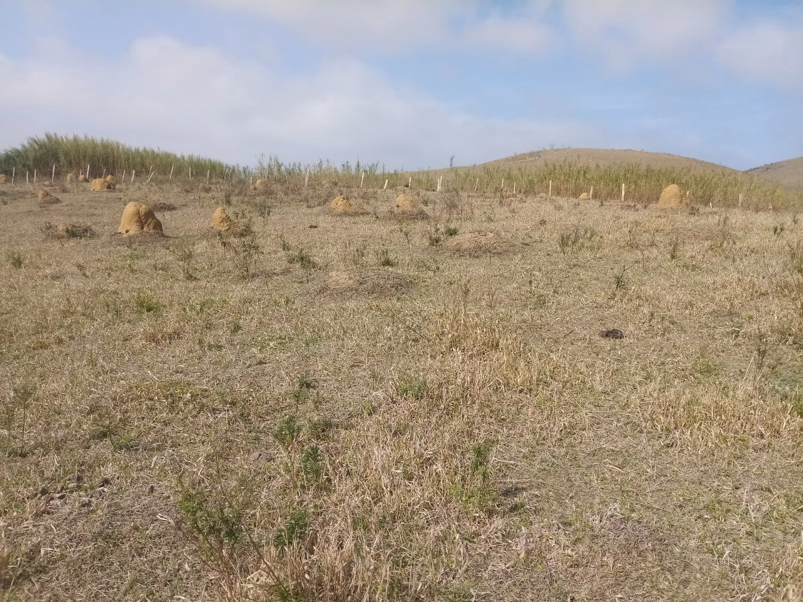 Small farm of 57 acres in São José dos Campos, SP, Brazil