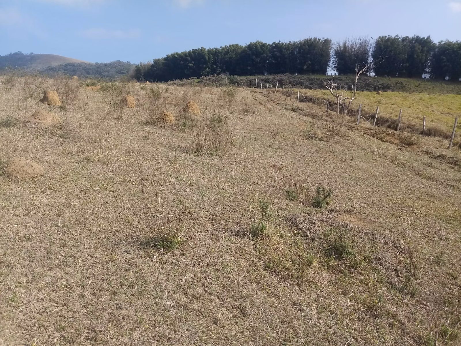 Small farm of 57 acres in São José dos Campos, SP, Brazil