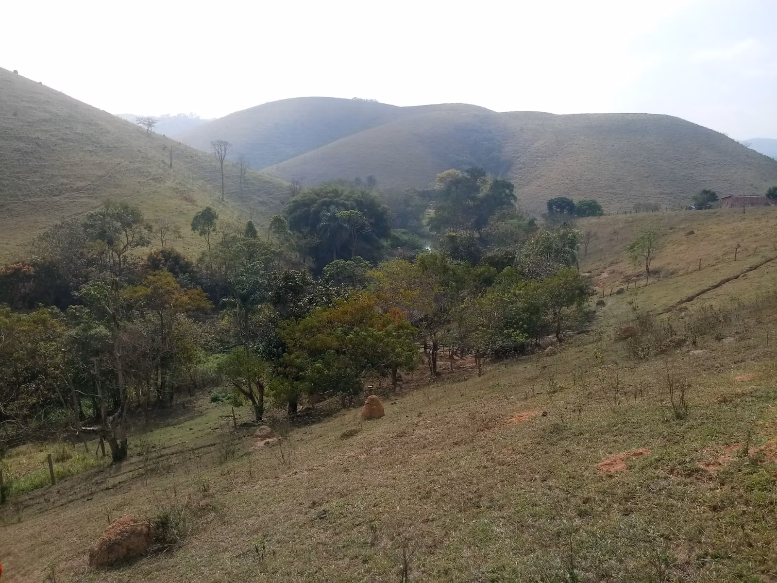 Small farm of 57 acres in São José dos Campos, SP, Brazil