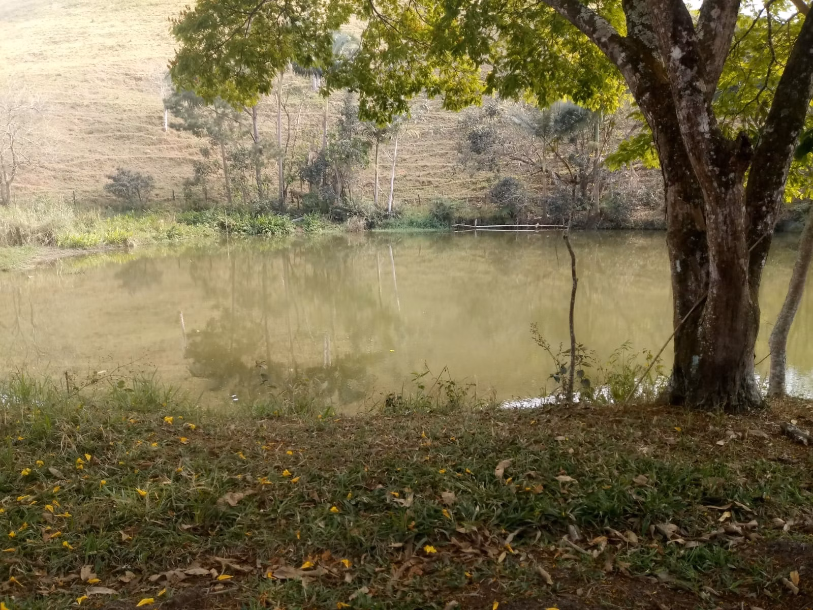 Small farm of 57 acres in São José dos Campos, SP, Brazil