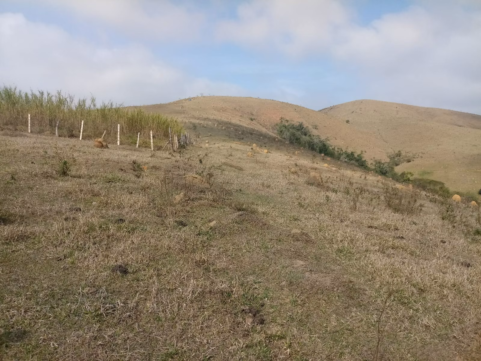 Small farm of 57 acres in São José dos Campos, SP, Brazil