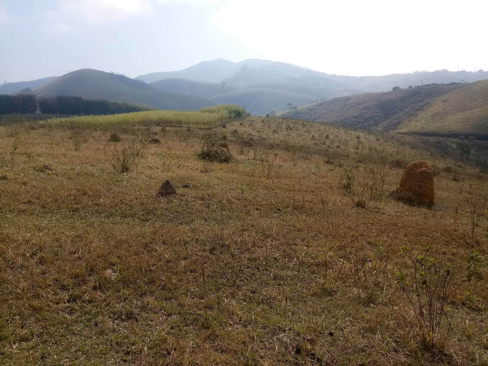 Small farm of 57 acres in São José dos Campos, SP, Brazil