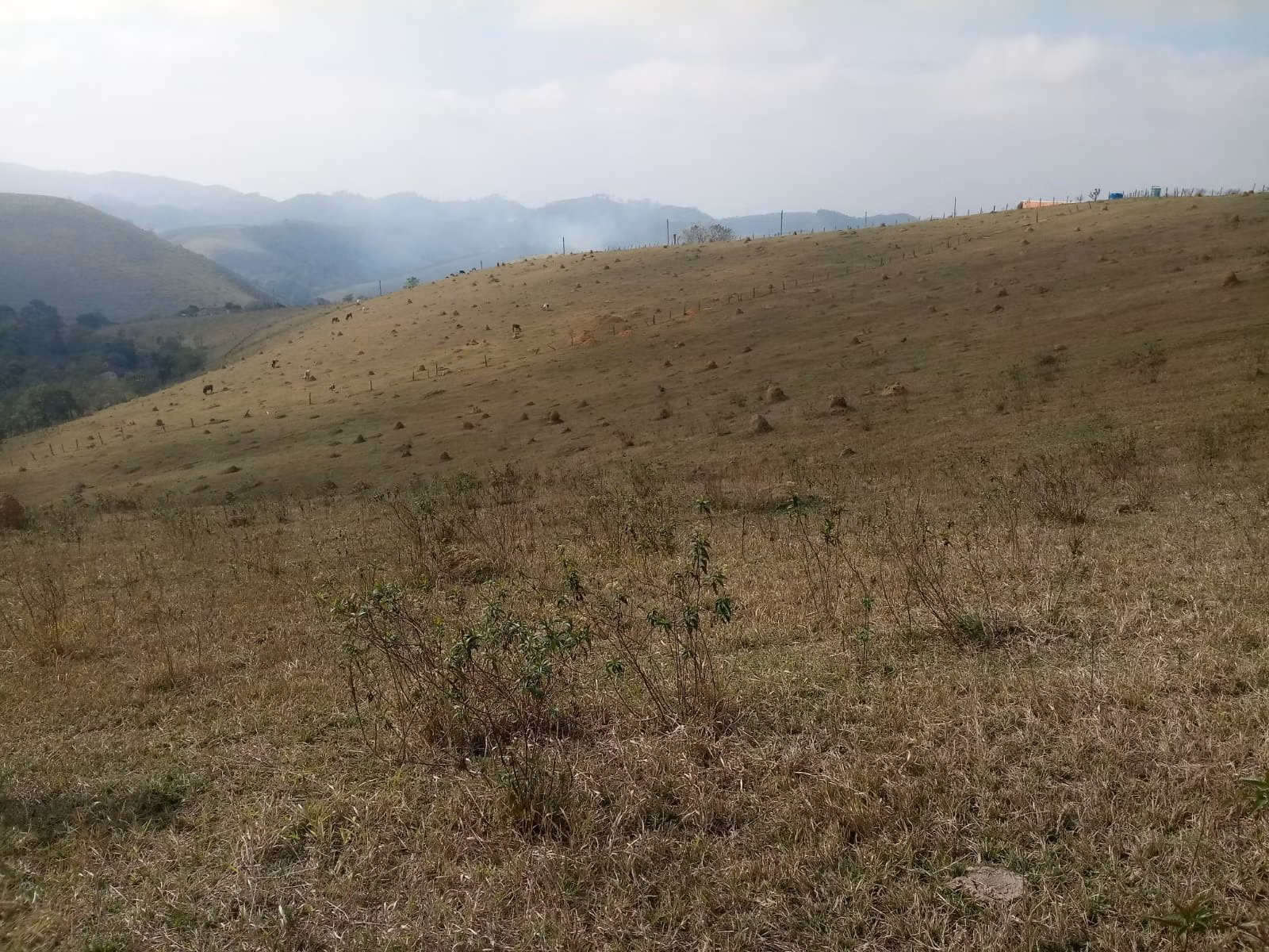 Small farm of 57 acres in São José dos Campos, SP, Brazil
