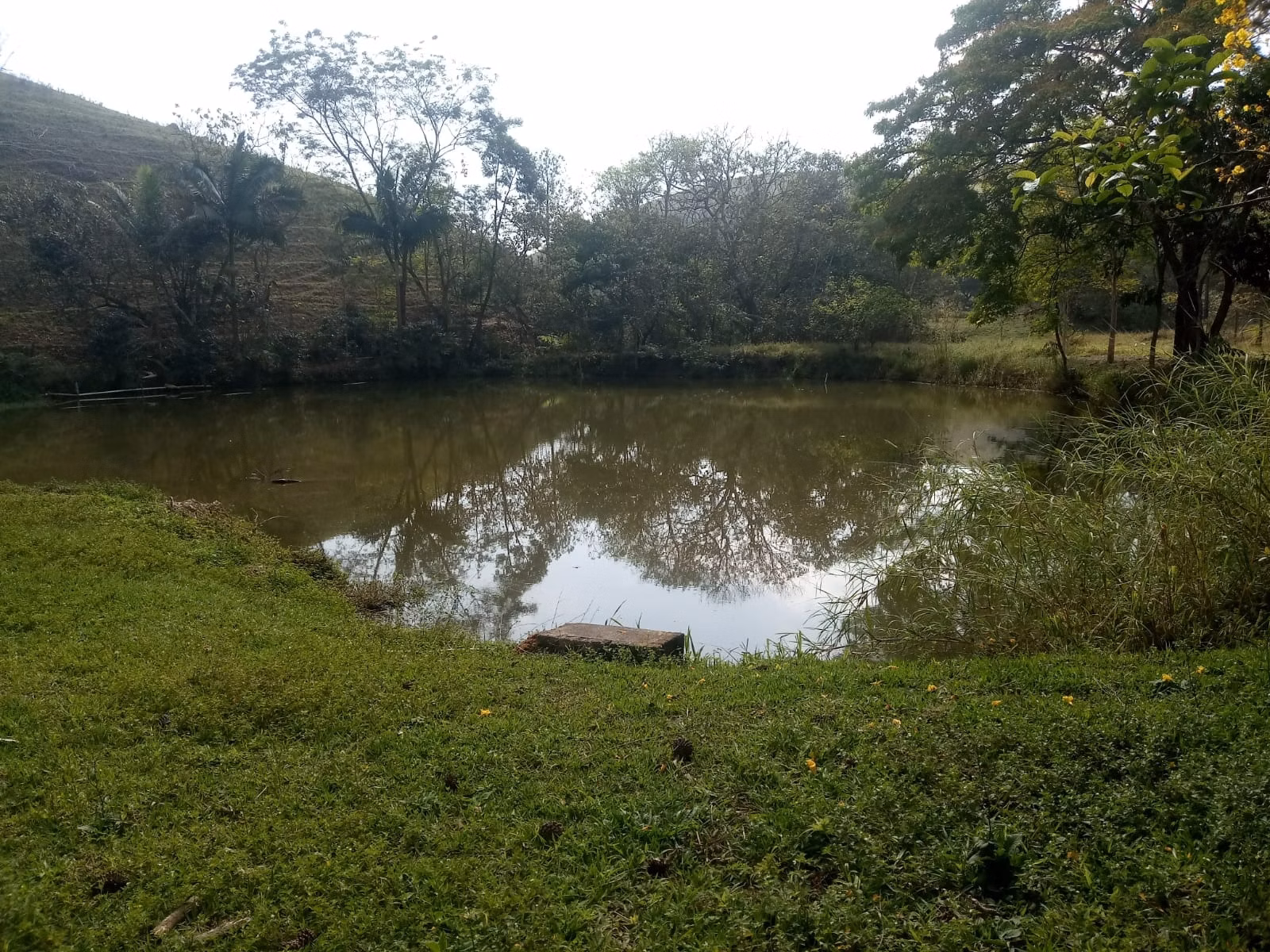 Small farm of 57 acres in São José dos Campos, SP, Brazil
