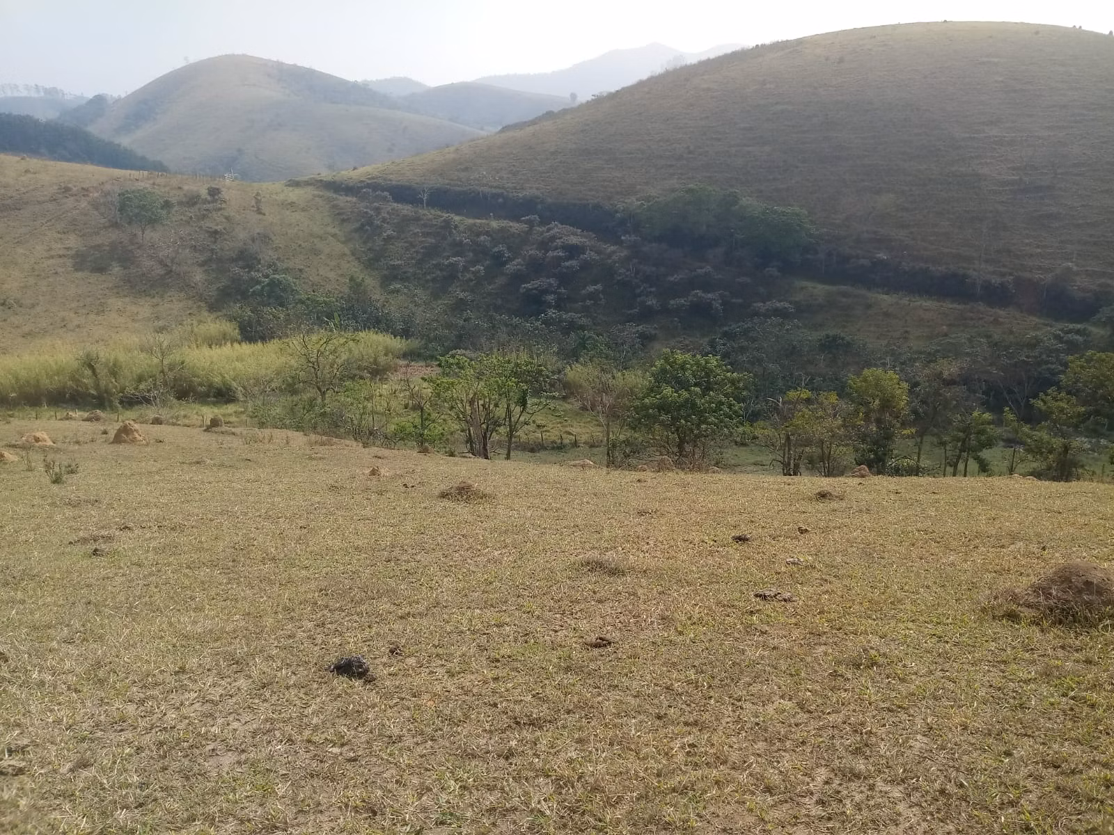 Small farm of 57 acres in São José dos Campos, SP, Brazil