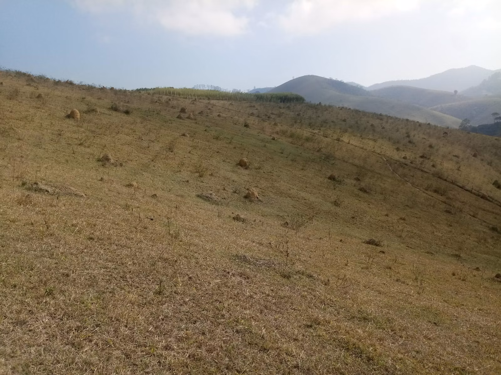 Small farm of 57 acres in São José dos Campos, SP, Brazil