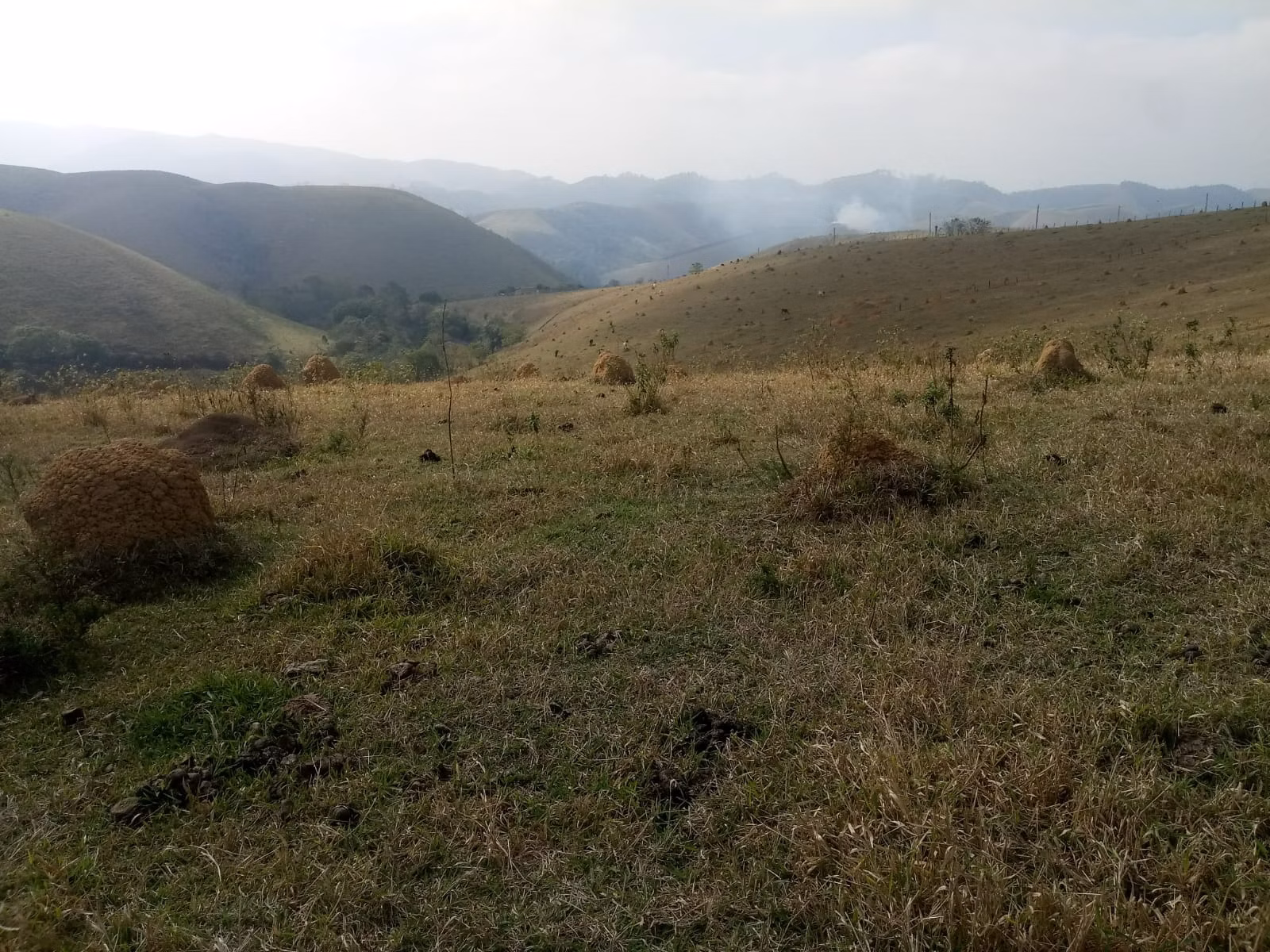 Small farm of 57 acres in São José dos Campos, SP, Brazil