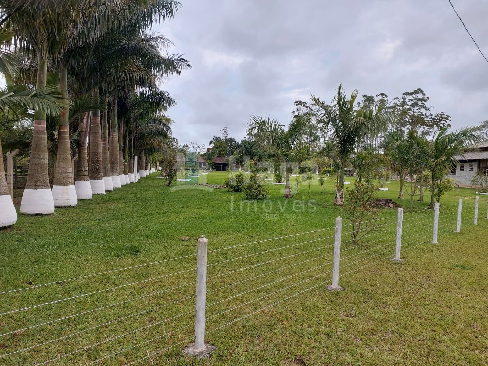 Chácara de 1 ha em Balneário Piçarras, SC
