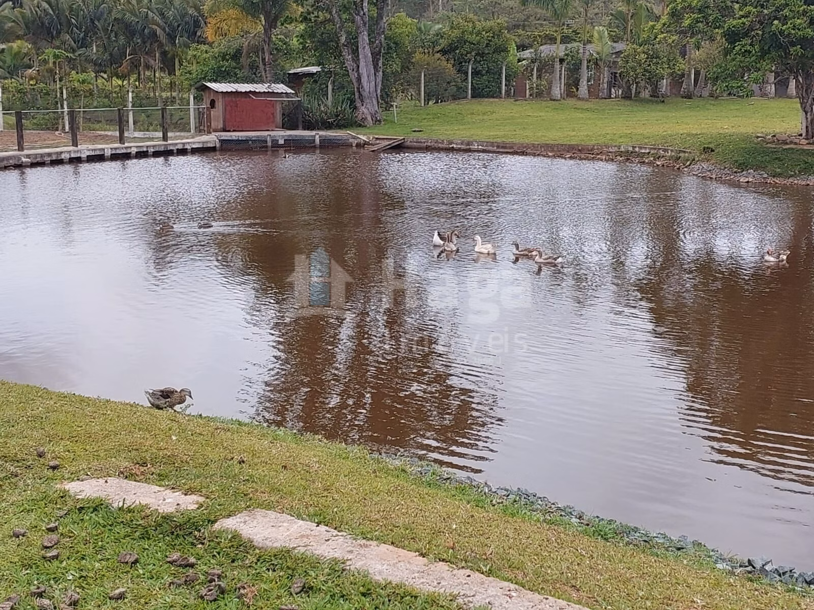 Chácara de 1 ha em Balneário Piçarras, SC