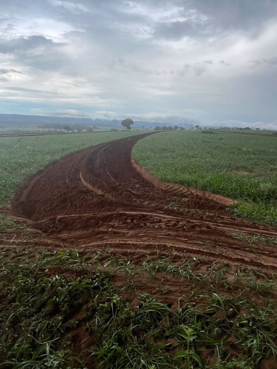 Farm of 21.580 acres in Serranópolis, GO, Brazil