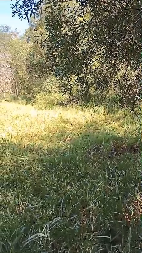 Sítio de 24 ha em Iaras, SP