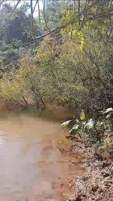 Sítio de 24 ha em Iaras, SP