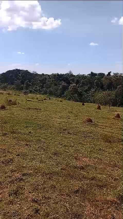 Sítio de 24 ha em Iaras, SP