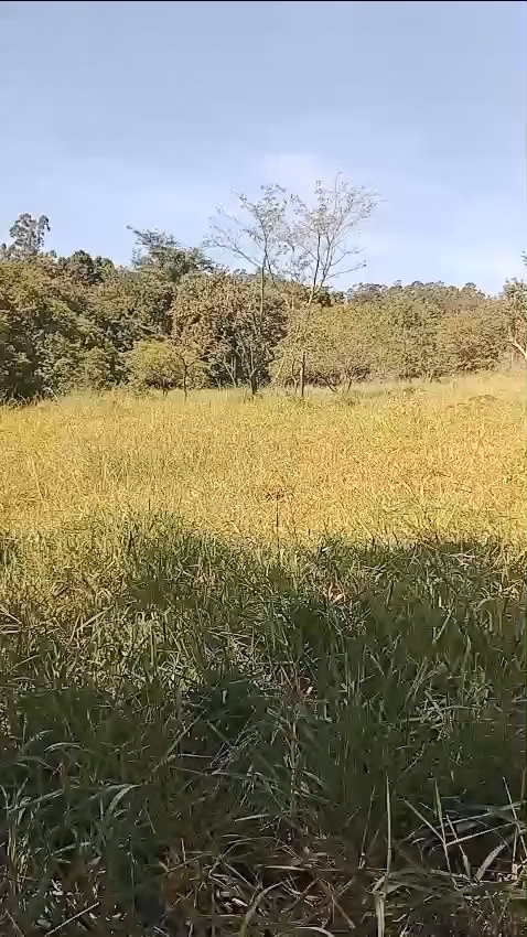 Sítio de 24 ha em Iaras, SP