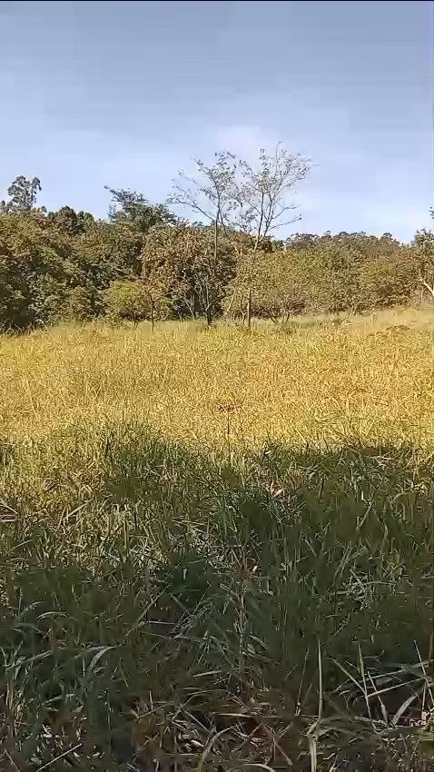 Sítio de 24 ha em Iaras, SP