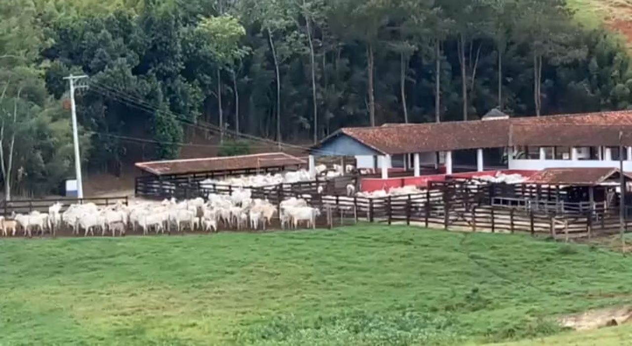 Fazenda à venda de 799 ha em Cachoeira Paulista, SP